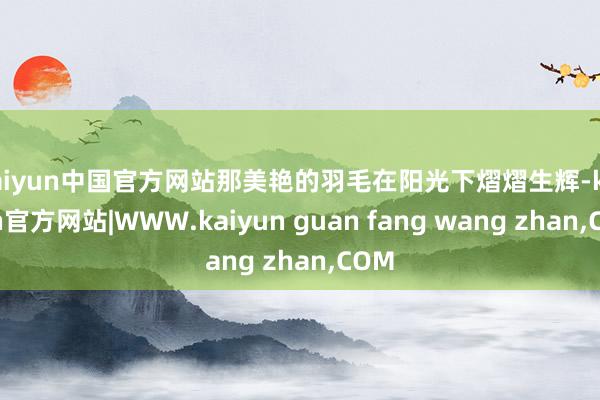kaiyun中国官方网站那美艳的羽毛在阳光下熠熠生辉-kaiyun官方网站|WWW.kaiyun guan fang wang zhan,COM