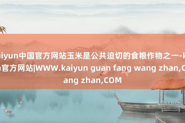 kaiyun中国官方网站玉米是公共迫切的食粮作物之一-kaiyun官方网站|WWW.kaiyun guan fang wang zhan,COM