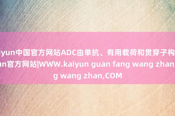 kaiyun中国官方网站ADC由单抗、有用载荷和贯穿子构成-kaiyun官方网站|WWW.kaiyun guan fang wang zhan,COM