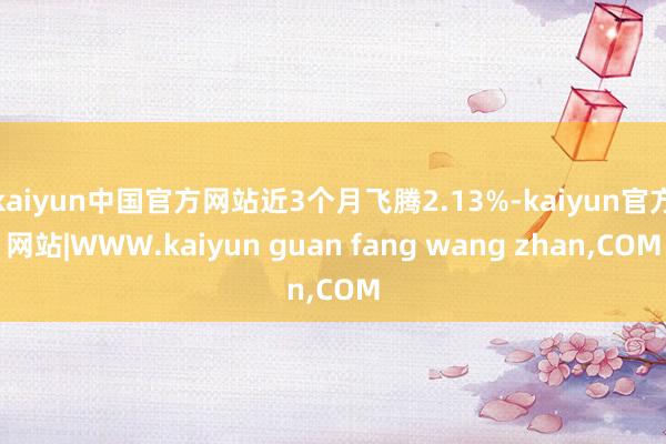 kaiyun中国官方网站近3个月飞腾2.13%-kaiyun官方网站|WWW.kaiyun guan fang wang zhan,COM