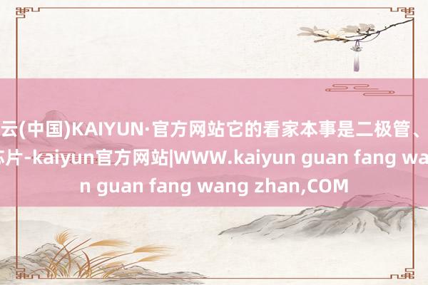 开云(中国)KAIYUN·官方网站它的看家本事是二极管、晶体管这些基础芯片-kaiyun官方网站|WWW.kaiyun guan fang wang zhan,COM